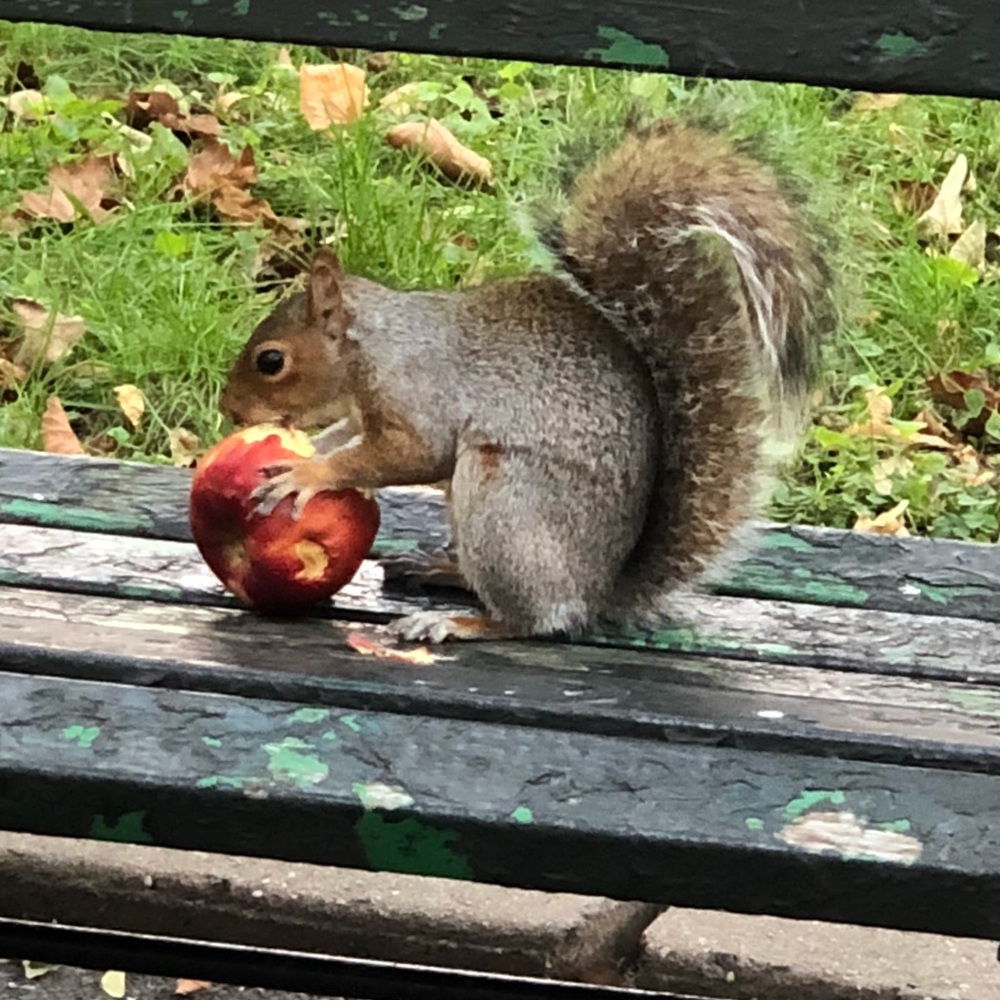Meet your Posher, Hannee